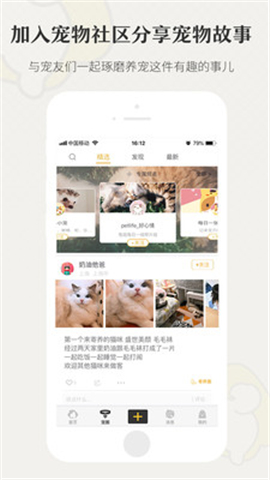 小狗在家