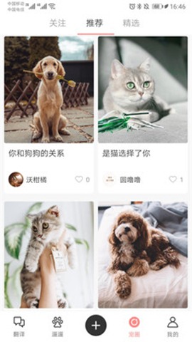 寵物君