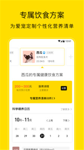 小絨寵物