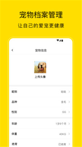 小絨寵物