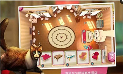 貓舍