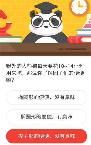 野外的大熊猫每天要花10~14小时用来吃,那么你了解团子们的便便嘛 森林驿站