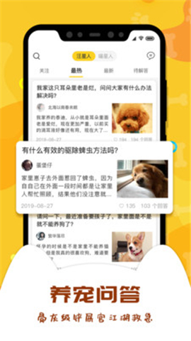 愛寵大陸