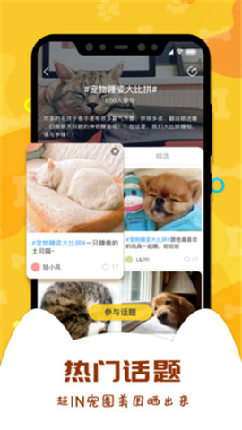 愛寵大陸截圖欣賞