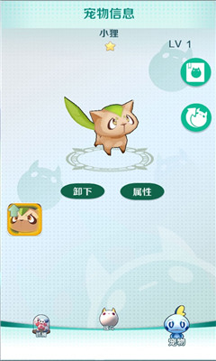 馴寵大師