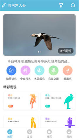 鳥叫聲大全