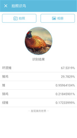 鳥叫聲大全截圖欣賞