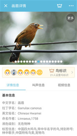 鳥叫聲大全截圖欣賞