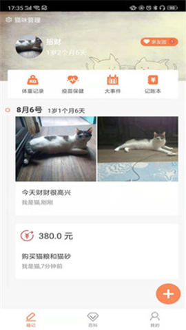 有貓