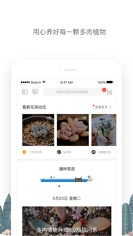 花兮截圖欣賞