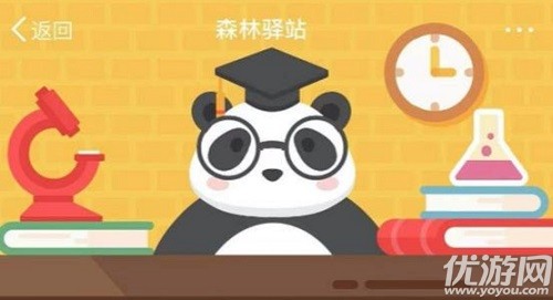 大熊猫通常一天要吃多少公斤竹叶 森林驿站2月12日每日一题答案