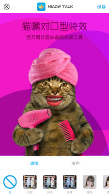 MiaowTalk