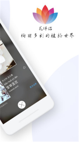 花伴侶截圖欣賞