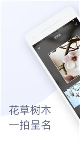 花伴侶截圖欣賞