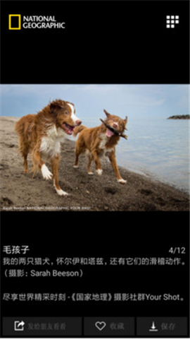 國家地理截圖欣賞