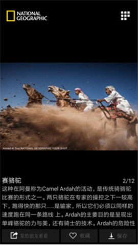 國家地理截圖欣賞