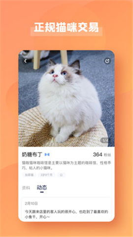 寵醬截圖欣賞