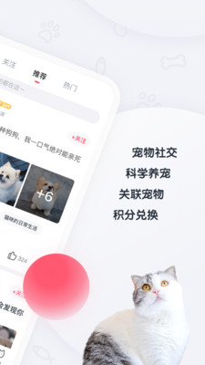粉爪截圖欣賞