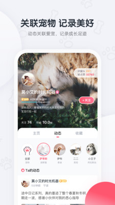 粉爪截圖欣賞