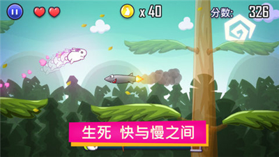 最后的兔紙