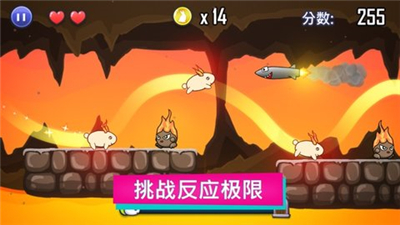 最后的兔紙