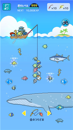 小型水族館