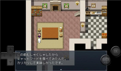 前衛(wèi)的糞作RPG2