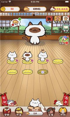 神貓俠侶