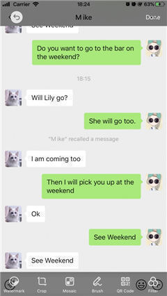 綠葉雙開分身