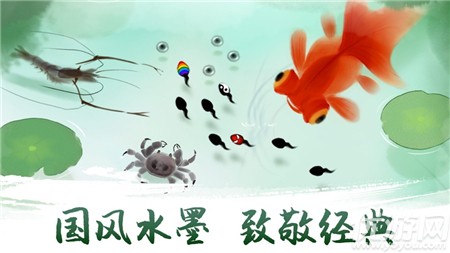 墨蝦探蝌