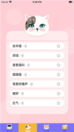 貓狗交流大師