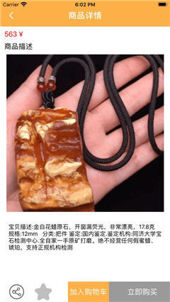 琥珀結(jié)緣