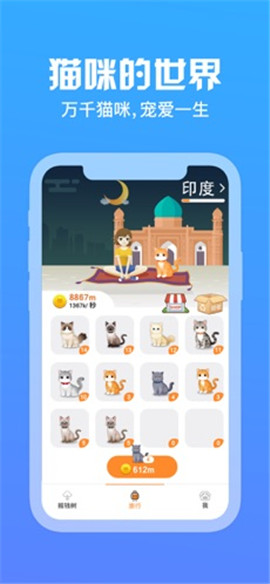 貓咪世界