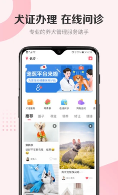 68寵物截圖欣賞