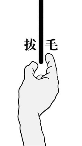 拔條毛毛與情感