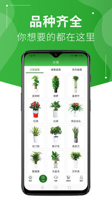 綠植到家