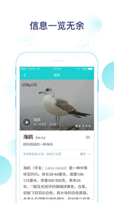 探頭