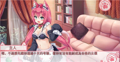 我是貓女仆喵