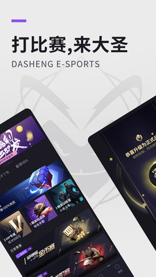 大圣電競(jìng)最新版截圖欣賞