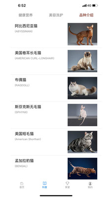 寧好貓截圖欣賞