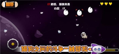 吳他貓狗大戰(zhàn)