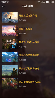 塞爾達(dá)傳說攻略