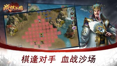 戰(zhàn)棋三國(guó)內(nèi)購(gòu)破解版截圖欣賞