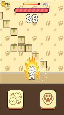 小貓打塊