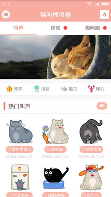 猫叫模拟器app