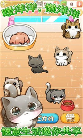 終極治愈系貓咪養(yǎng)成