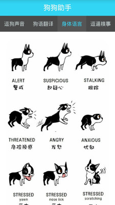 狗狗助手安卓版截圖欣賞