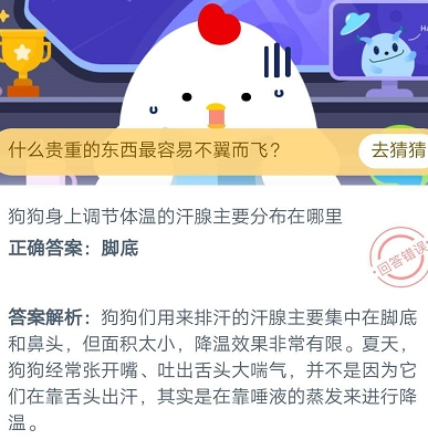 狗狗身上调节体温的汗腺主要分布在哪里 蚂蚁庄园7月21日每日一题答案