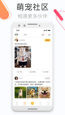 鏟屎官的日常截圖欣賞