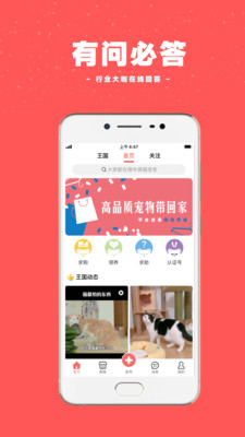 寵物王國(guó)截圖欣賞